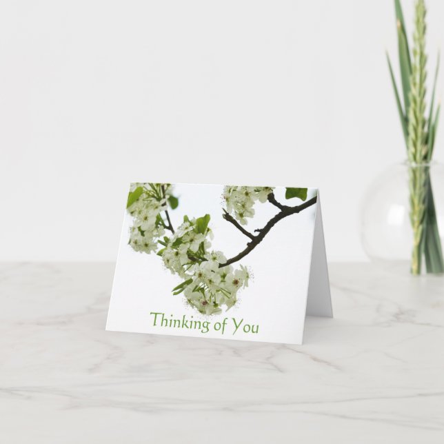 Pear Tree Branch Thinking of You, Blank Inside Card (Front)