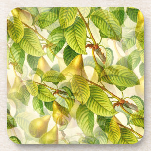 Pear Tree Branches & Pears Pattern  Coaster