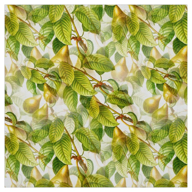 Pear Tree Branches & Pears Pattern Fabric (Swatch)