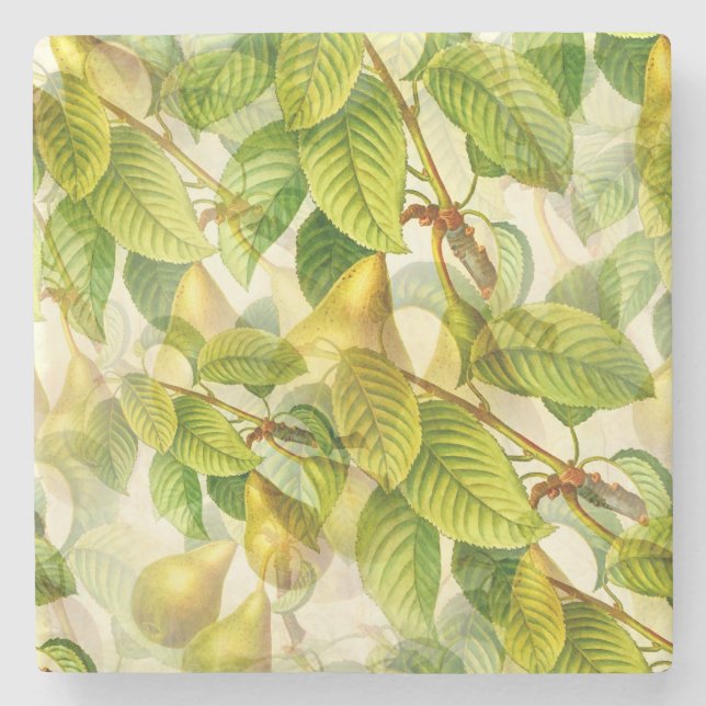 Pear Tree Branches & Pears Pattern  Stone Coaster (Front)