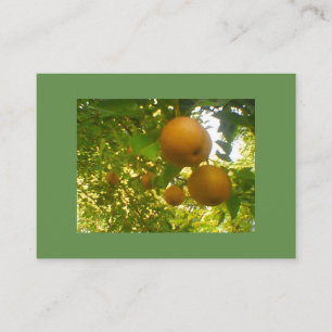 Pear Tree Business Card