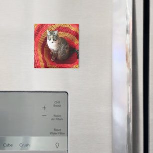 Pearl Cat on Afghan Magnet