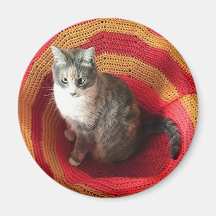 Pearl Cat on Afghan Magnet