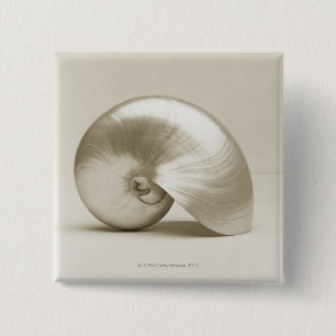 Pearl Nautilus Seashell 15 Cm Square Badge