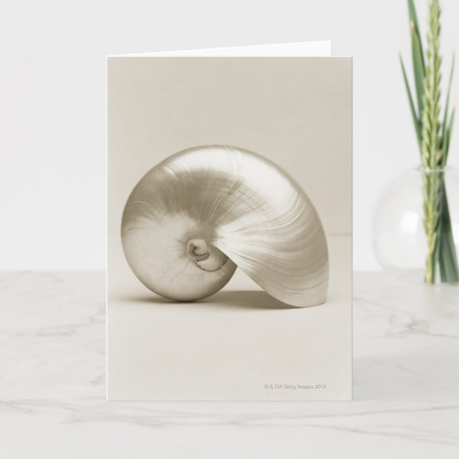 Pearl Nautilus Seashell Card (Front)