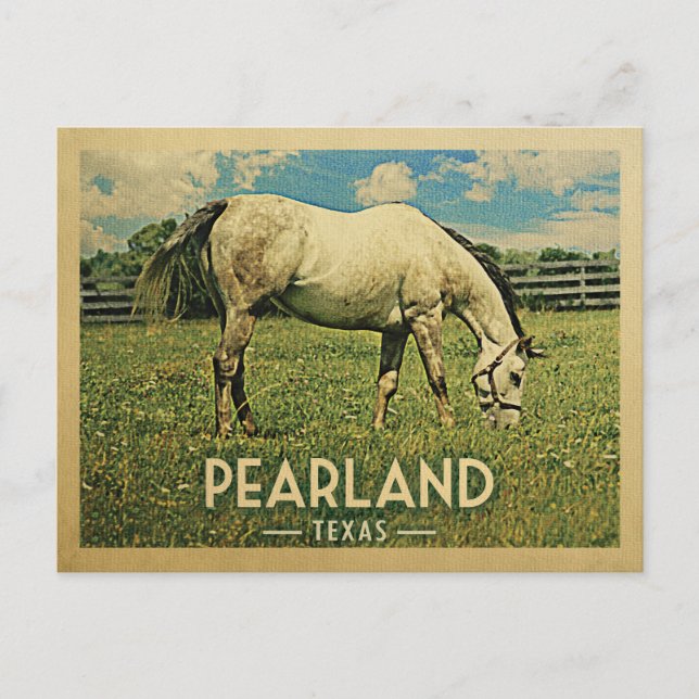 Pearland Texas Horse Farm - Vintage Travel Postcard (Front)