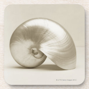 Pearlised nautilus sea shell coaster