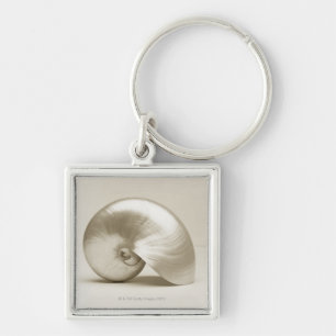 Pearlised nautilus sea shell key ring