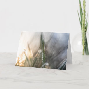 Pearls of Dew on Grass Card
