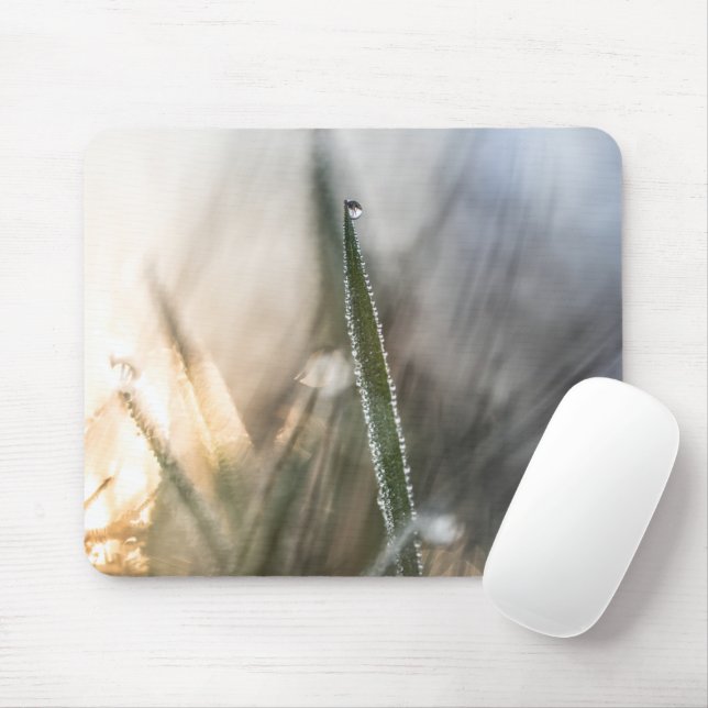 Pearls of Dew on Grass Nature Photo Mouse Pad (With Mouse)
