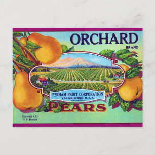 Pears Orchard Postcard