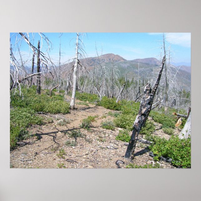 Pearsoll Peak Fire Lookout Kalmiopsis Wilderness Poster (Front)