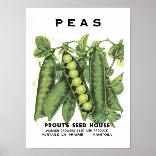 Peas Vintage Seed Packet Poster (Front)