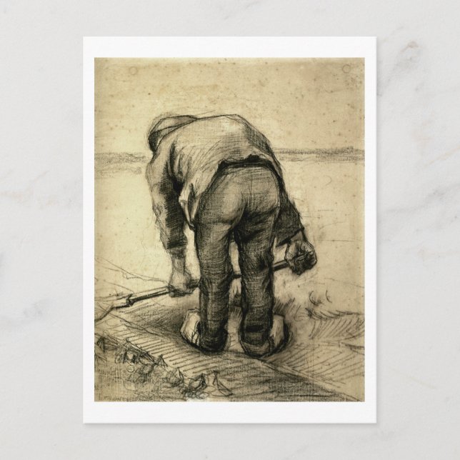 Peasant Lifting Beet, Vincent van Gogh Postcard (Front)