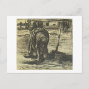 Peasant Woman Planting Potatoes, Vincent van Gogh Postcard