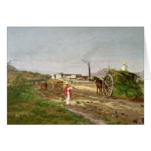 Peasants Collecting Sugar Cane