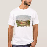 Peasants Collecting Sugar Cane