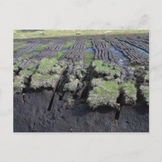 Peat Cutting In Ireland Postcard