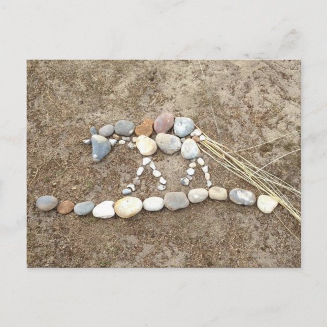 Pebble Horse Postcard (Front)