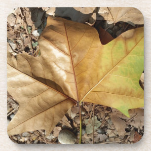 pebbles and leaves coaster