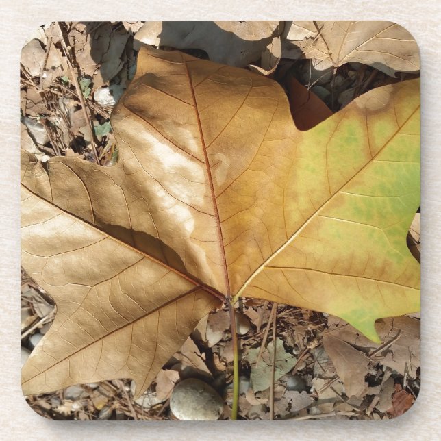 pebbles and leaves coaster (Front)