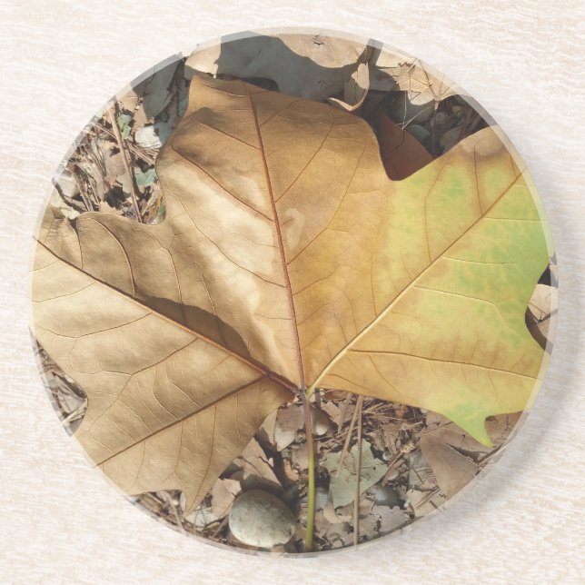 pebbles and leaves coaster (Front)