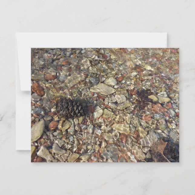 Pebbles in Taylor Creek Nature Photography (Front)