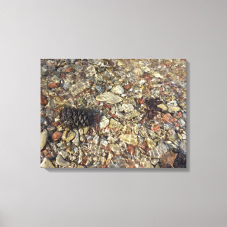 Pebbles in Taylor Creek Nature Photography Canvas Print