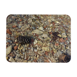 Pebbles in Taylor Creek Nature Photography Magnet