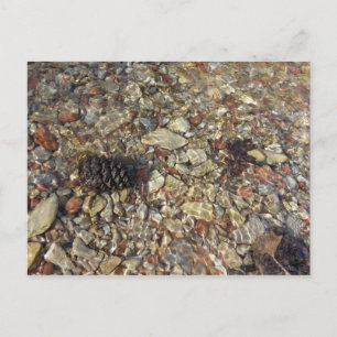 Pebbles in Taylor Creek Nature Photography Postcard