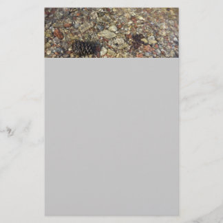 Pebbles in Taylor Creek Nature Photography Stationery