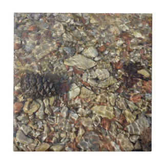 Pebbles in Taylor Creek Nature Photography Tile