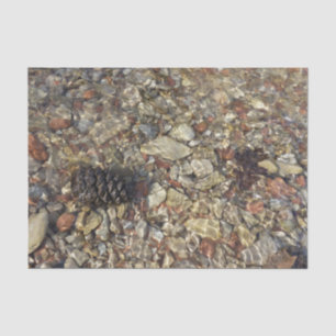 Pebbles in Taylor Creek Nature Photography Tissue Paper