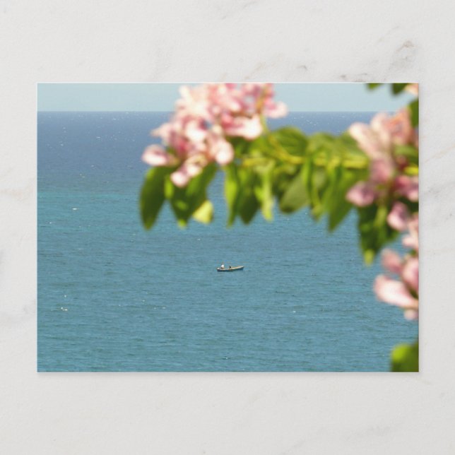 Pecheurs au Travail - Martinique, FWI Postcard (Front)