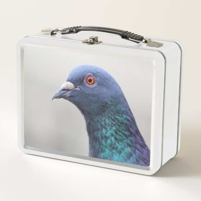Peckish Pigeon Metal Lunch Box (Front)