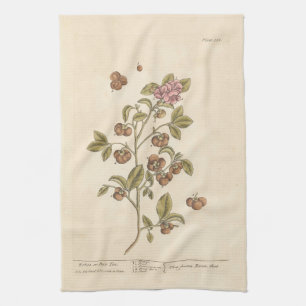 Peco Tea by Elizabeth Blackwell Tea Towel