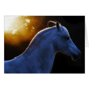 Pecos In Evening Light