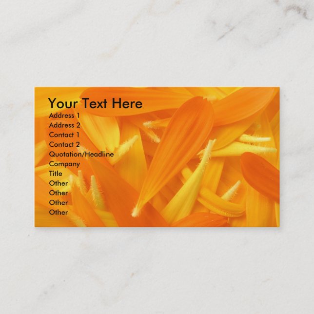 Pedals Business Card (Front)
