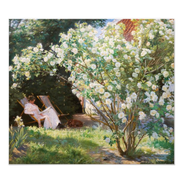 Peder Severin Kroyer - Roses Photo Print (Front)
