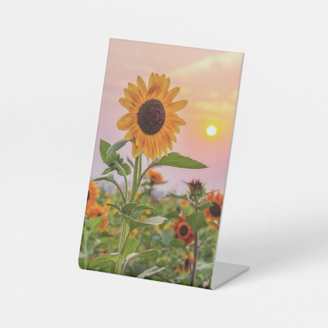 Pedestal Sign (Front)