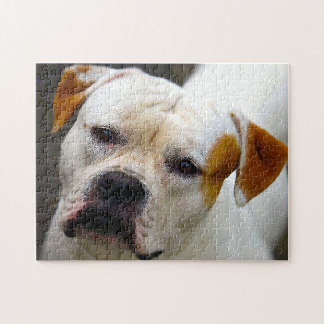 Pedigree Bulldog. Jigsaw Puzzle (Horizontal)