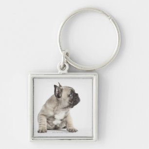 Pedigree puppy key ring