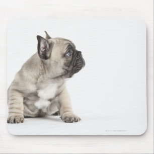 Pedigree puppy mouse pad