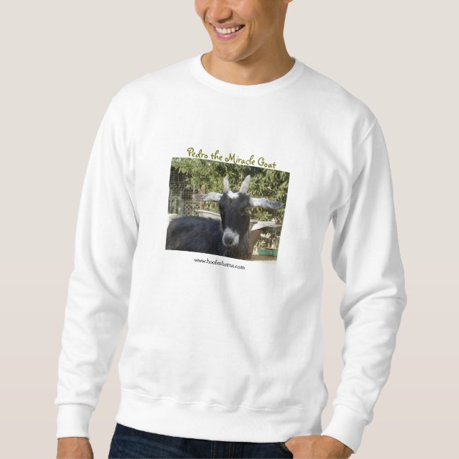 Pedro in the spring sweatshirt (Front)