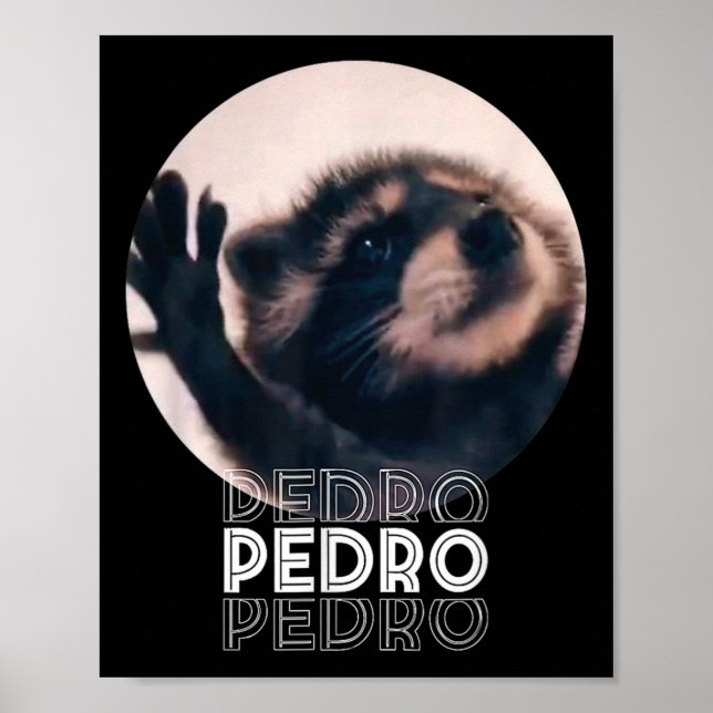 Pedro Racoon Dance Popular Internet Meme Mapache D Poster (Front)