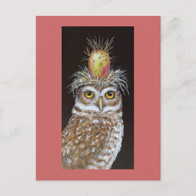 pedro the burrowing owl postcard (Front)