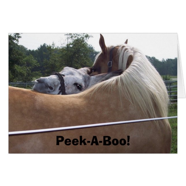 Peek-A-Boo! (Front Horizontal)