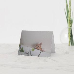 Peek-a-Boo Blank Note Cards