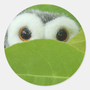 Peek-A-Boo Classic Round Sticker