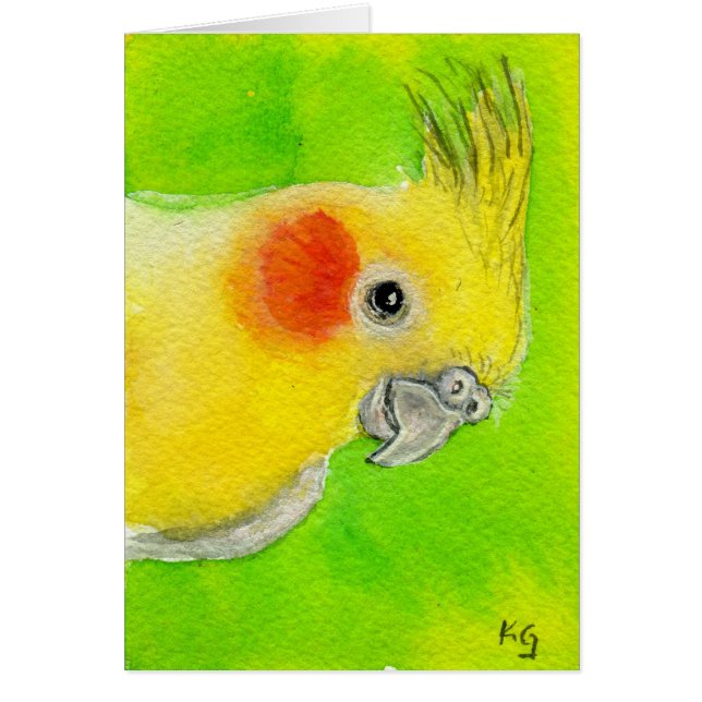 Peek-a-boo Cockatiel (Front)